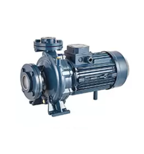 <span style="font-weight: bold;">Насосный агрегат моноблочный фланцевый PURITY PSTC</span>